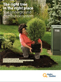 The Right Tree in the Right Place: The Underground Distribution System