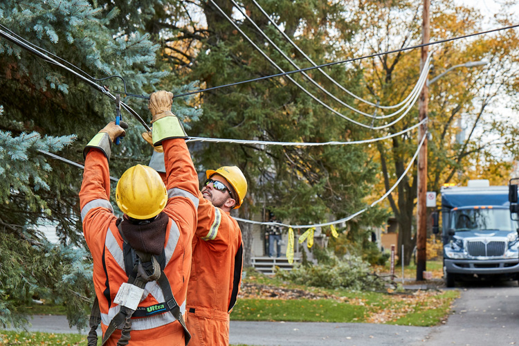 Field workers between november first and the 3rd.