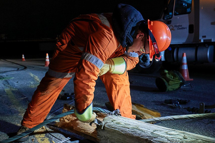 Field workers between november first and the 3rd.