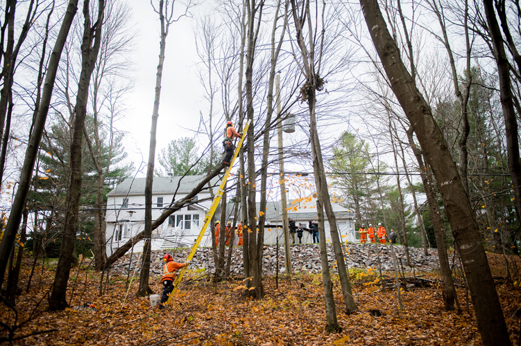 Field workers between november first and the 3rd.