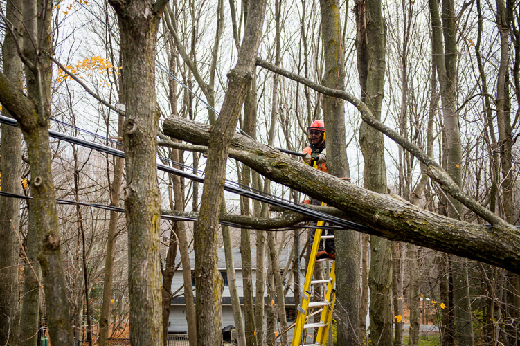 Travailleurs sur le terrain entre le 1er et le 3 novembre.