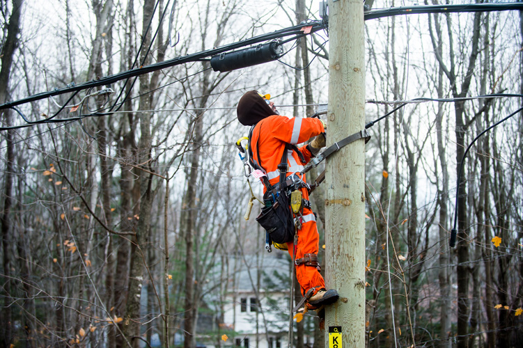 Field workers between november first and the 3rd.