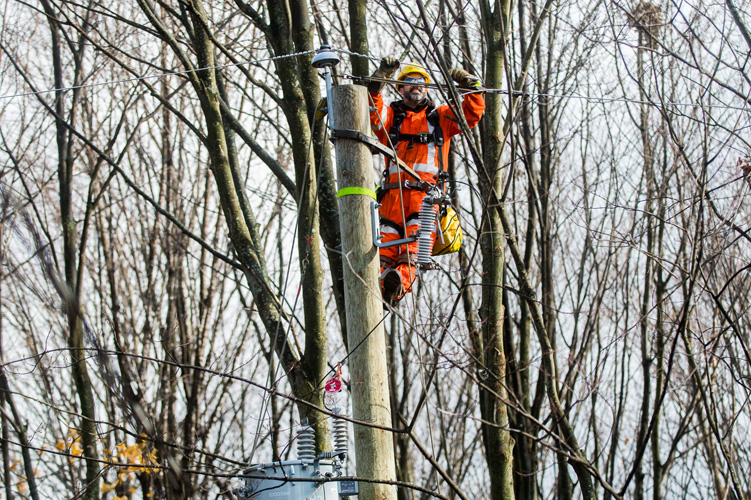 Travailleurs sur le terrain entre le 1er et le 3 novembre.