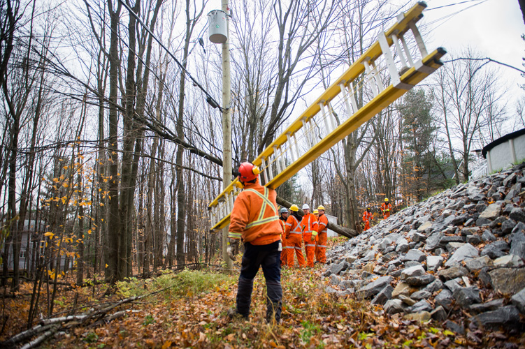 Field workers between november first and the 3rd.