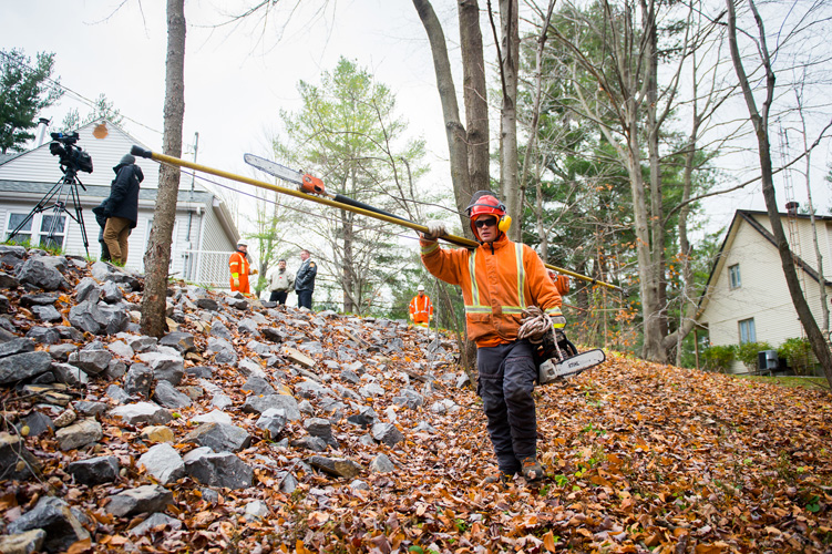 Field workers between november first and the 3rd.