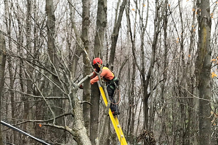 Travailleurs sur le terrain entre le 1er et le 3 novembre.