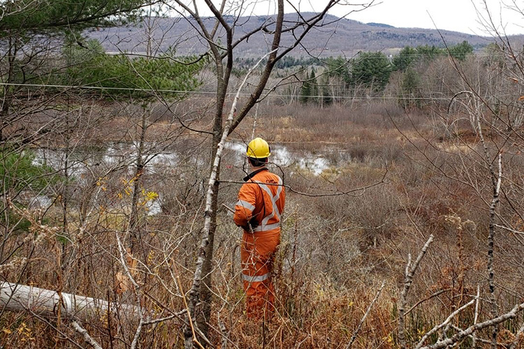 Field workers between november first and the 5th.