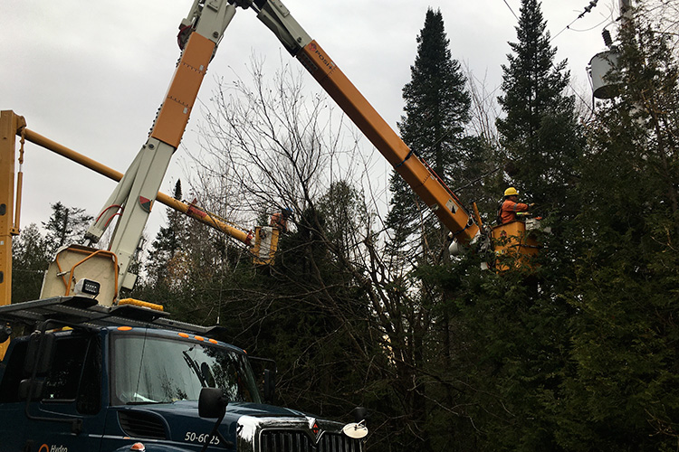 Travailleurs sur le terrain entre le 1er et le 5 novembre.