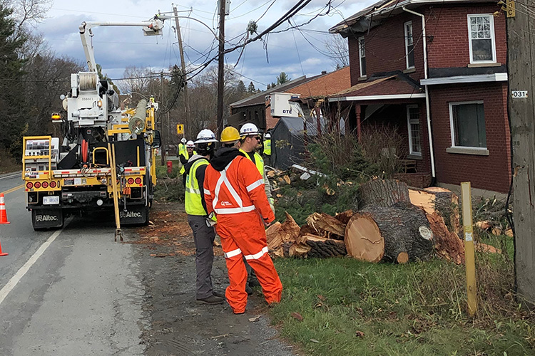 Travailleurs sur le terrain entre le 1er et le 6 novembre.