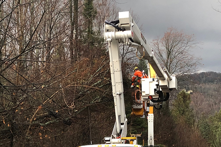 Travailleurs sur le terrain entre le 1er et le 6 novembre.