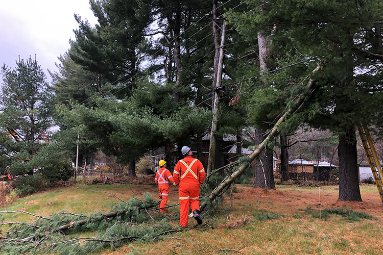 Travailleurs sur le terrain entre le 1er et le 6 novembre.