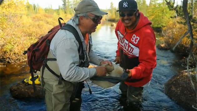 Maintaining Brook Trout Habitat