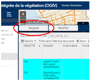 Option Assigner de la table attributaire