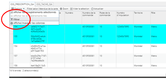 Option Filtrer dans table attributaire