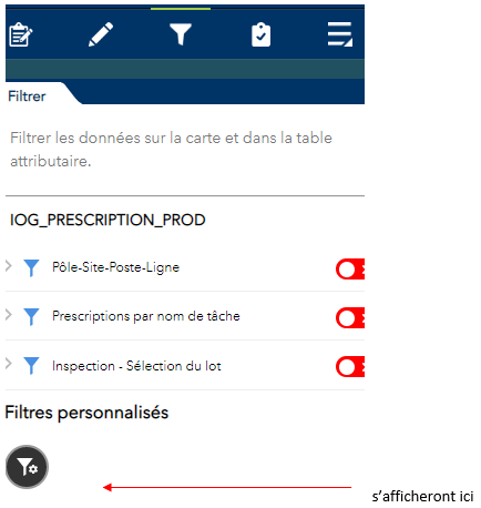 Menu Filtrer, section Filtres personnalisés