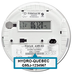 Find the meter number on an electronic meter