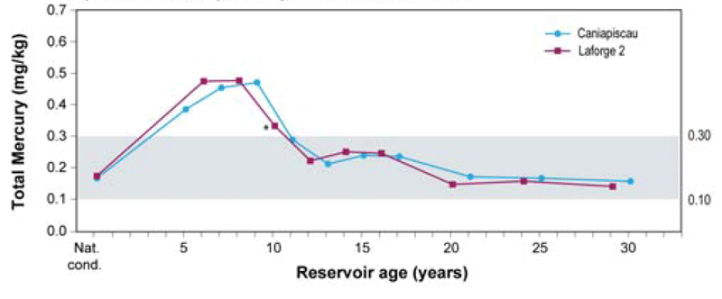 Figure 1.5 shows that mercury levels in lake whitefish from the eastern sector of the La Grande complex returned to levels equivalent to those measured in the region's natural lakes in 10 years.