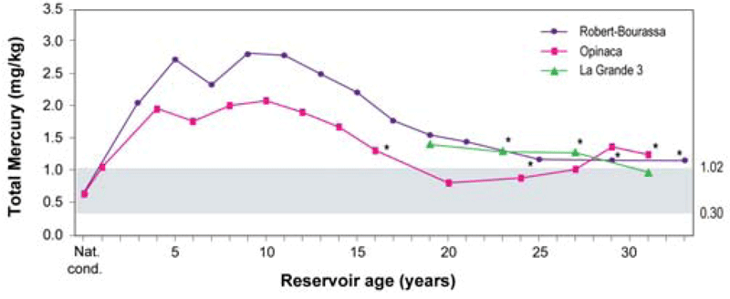 Figure 1.6 shows that mercury levels in walleye (piscivorous fish) from the La Grande complex reservoirs increased for 20 to 30 years, and then returned to levels equivalent to those measured in the region's natural lakes.