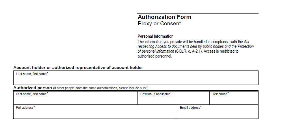This picture shows the part of the form containing information about the representative. An explanation of the content of this section is given below. 