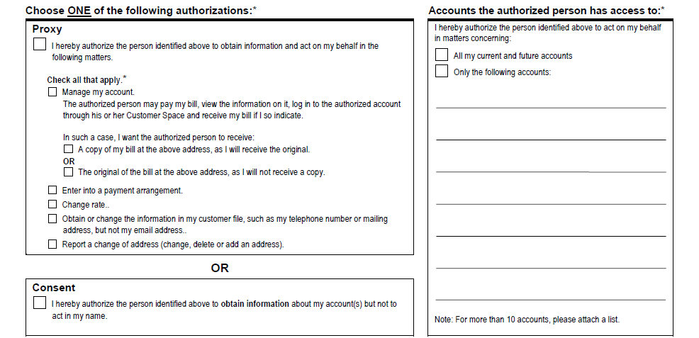 This picture shows the part of the form containing information about the representative. An explanation of the content of this section is given below.
