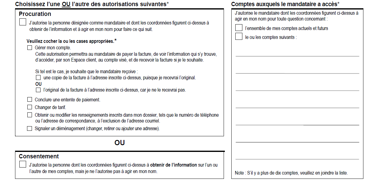 Cette image présente la section du formulaire qui contient les informations sur le mandataire. L’explication du contenu de cette section se trouve dans le texte qui suit.