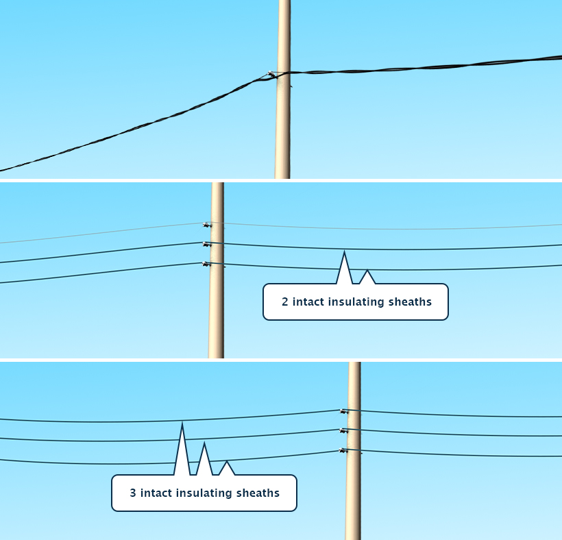 Wires ABOUT HALFWAY UP THE POLE. These are low-voltage wires. The most common configurations are two wires with black sheathing, twisted around a bare metal wire, or three sheathed wires stacked one above the other, or three stacked wires, two of which are sheathed and the third bare.