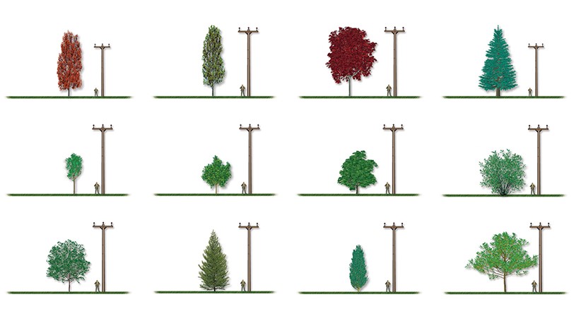 BHSHUXI Protection de tronc d'arbre en plastique pour éviter les dommages  causés par les tondeuses, tondeuses et rongeurs